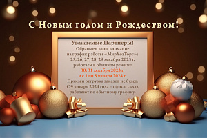 ������ ������ � ������� 2023 � ������ 2024